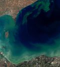 western lake erie phosphorus