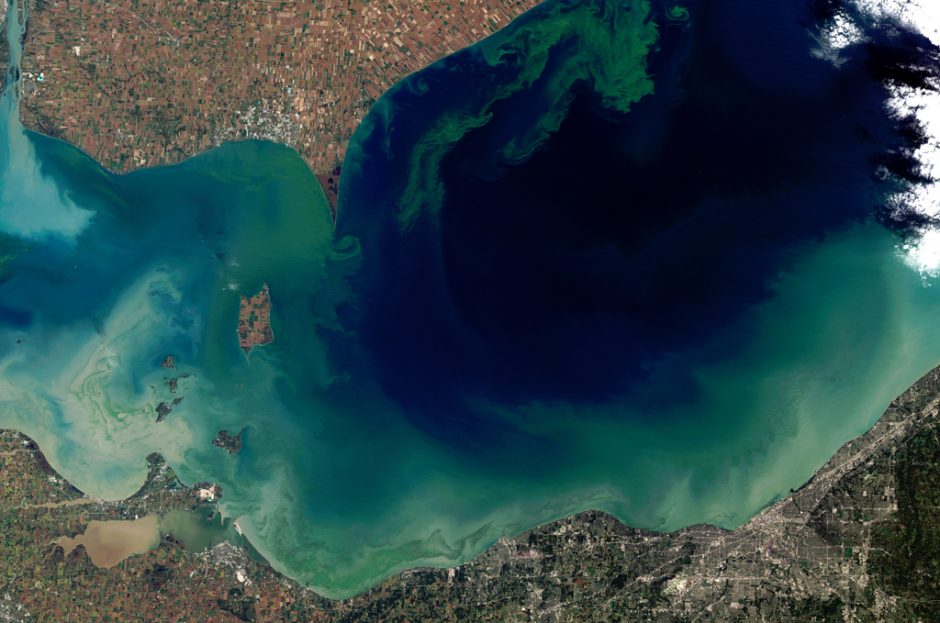 western lake erie phosphorus