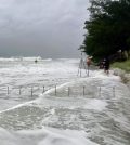 hurricane hermine usgs response