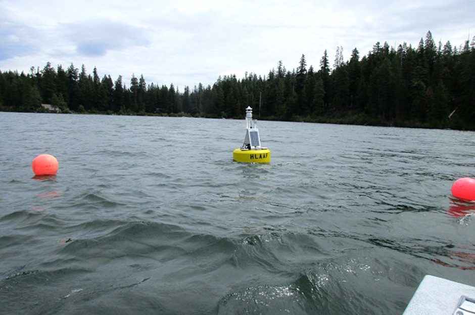 suttle lake buoy salmon