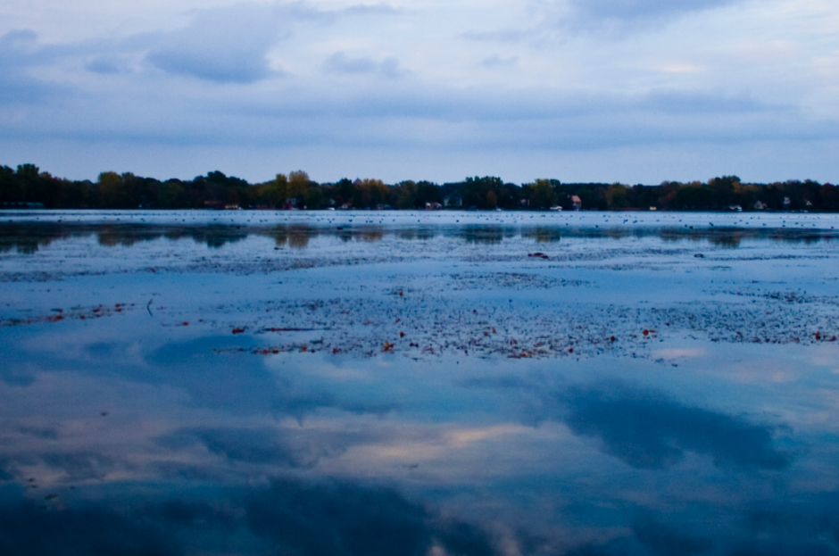 lake minnetonka zebra mussels