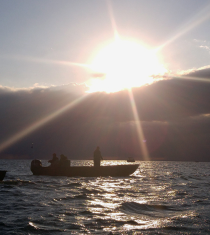 wisconsin walleye climate change