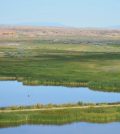 variability of wetlands