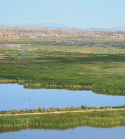 variability of wetlands