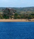 sediment cores cichlid diversity lake malawi