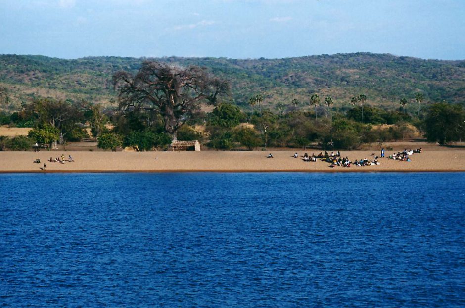 sediment cores cichlid diversity lake malawi