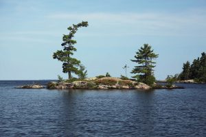 walleye ontario lakes warming