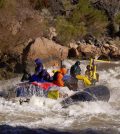 colorado river fish mercury selenium