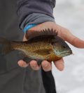 underwater fishing camera