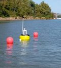 mussel beds