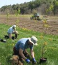 planting trees