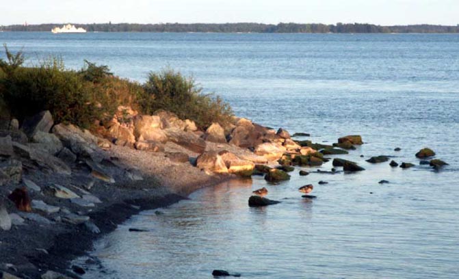 First Nations drinking water