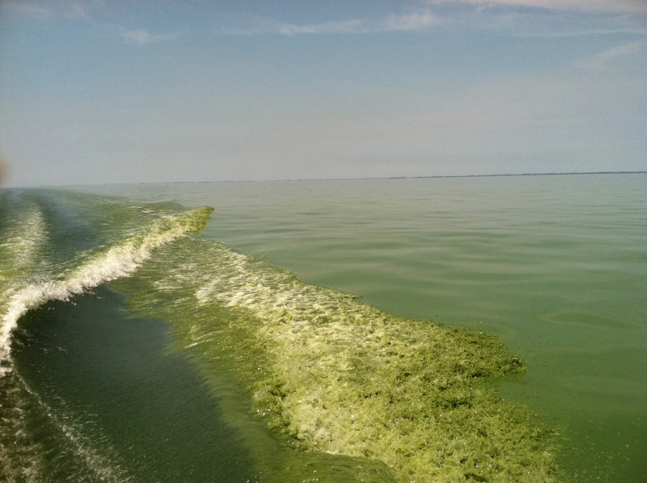 Environmental Monitor Inside the Struggle to Designate Lake Erie's