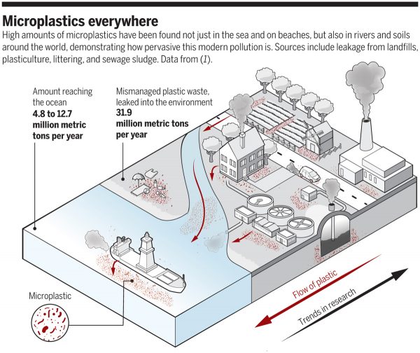 Microplastics Invade Ecosystems