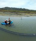 san elijo lagoon