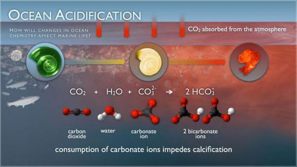 CO2 Cacophony