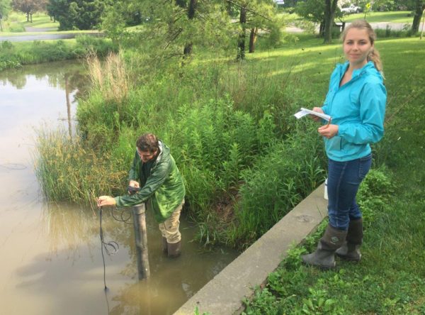 MAD Scientists Save Wetlands