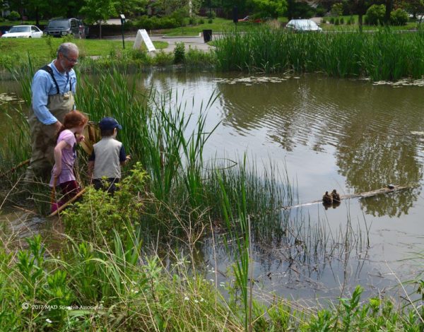 MAD Scientists Save Wetlands