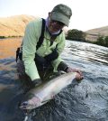 Coyote Creek Steelhead Trout