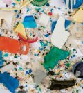 microplastic invades ecosystems