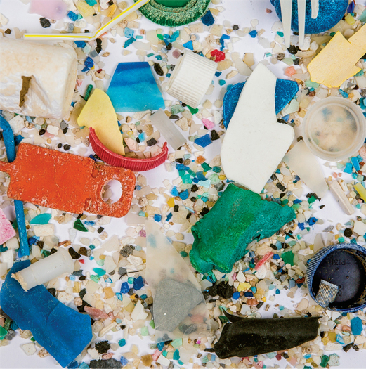 microplastic invades ecosystems