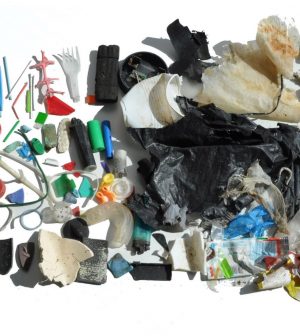 Toxic Chemicals in Plastic