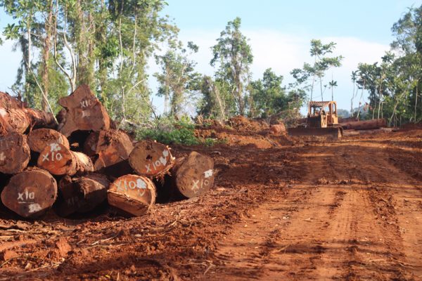 Logging Impacts Water Quality