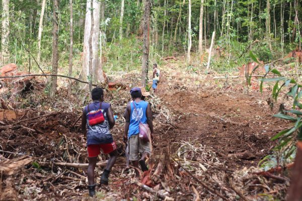 Logging Impacts Water Quality