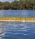 Floating Islands Used to Improve Water Quality at Racine Park