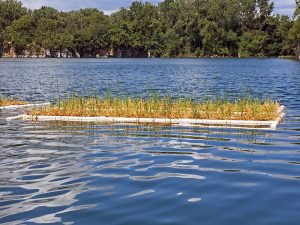 Floating Islands Used to Improve Water Quality at Racine Park