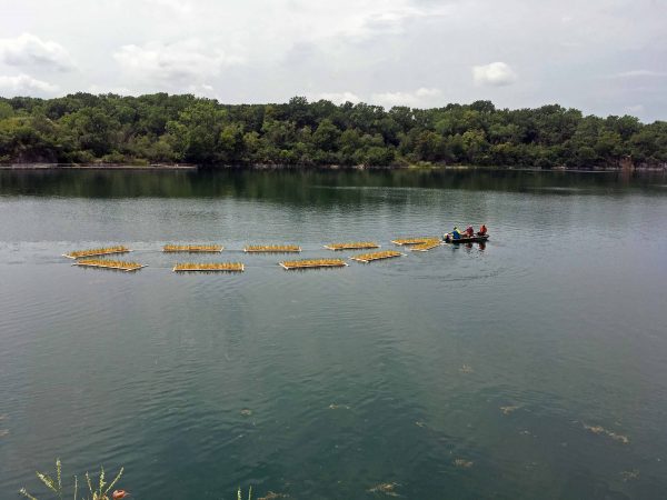 Floating Islands Used to Improve Water Quality at Racine Park