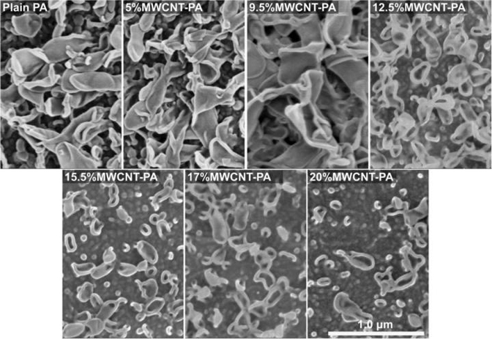 Carbon Nanotube Desalination Membranes