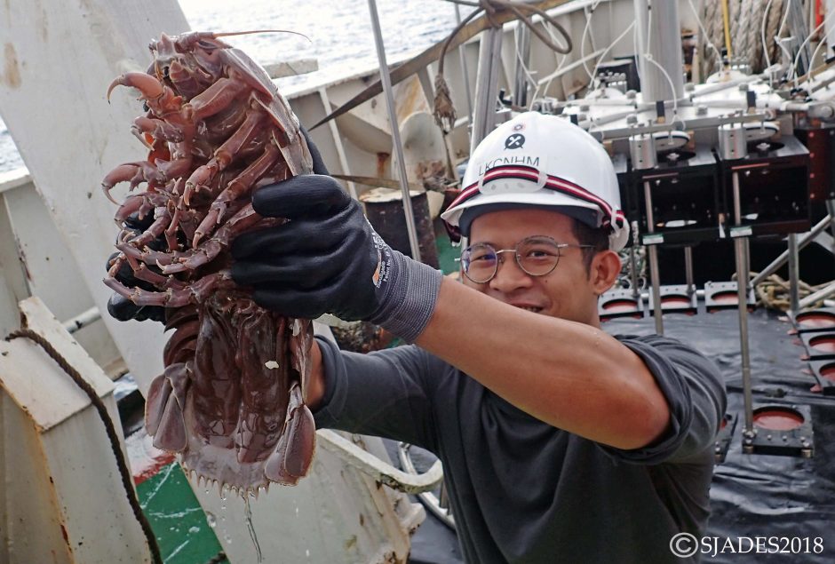 Deep-sea Biodiversity Expedition