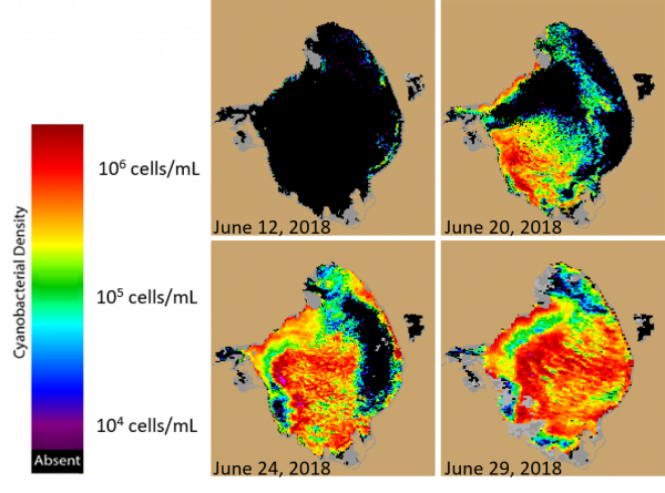 Florida’s Algal Blooms