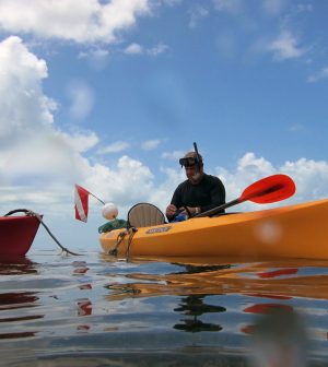 Florida’s Algal Blooms