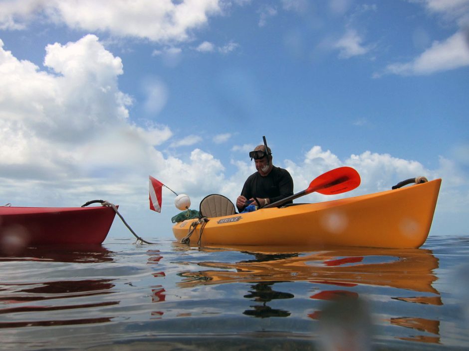 Florida’s Algal Blooms