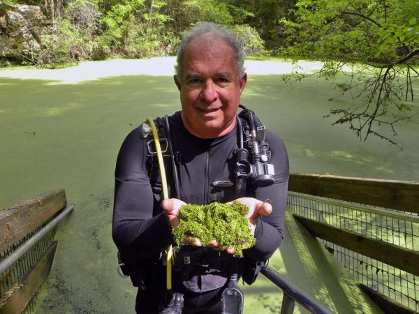 Florida’s Algal Blooms