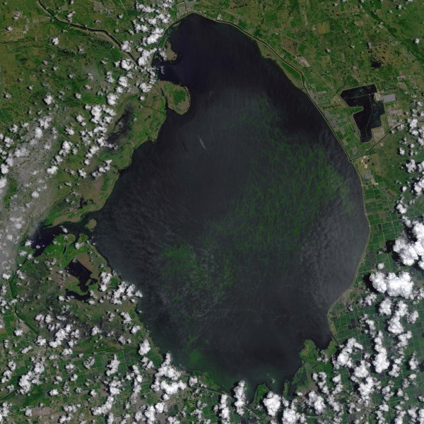 Florida’s Algal Blooms