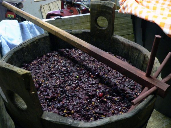 winery waste
