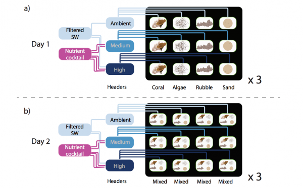 acidification