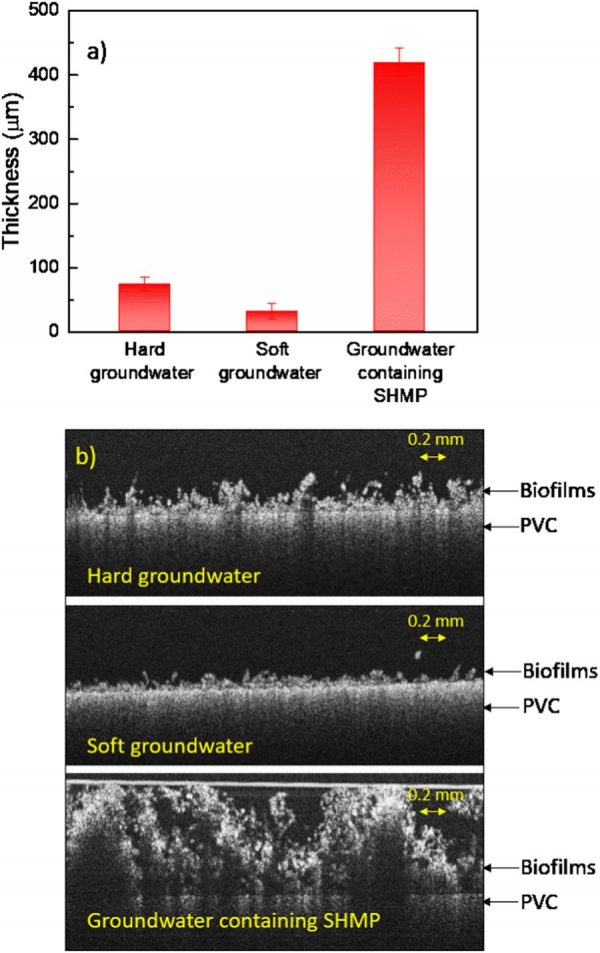 biofilms