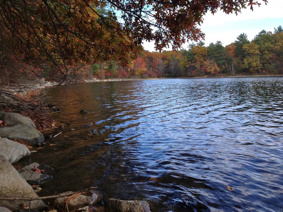 american lakes