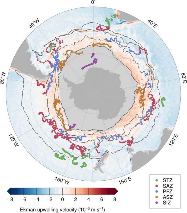 Southern Ocean