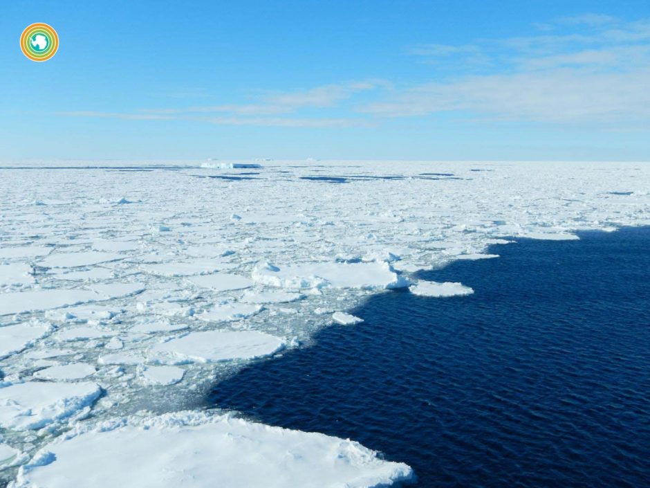 Southern Ocean