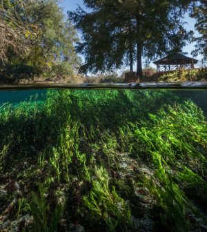 Edwards Aquifer