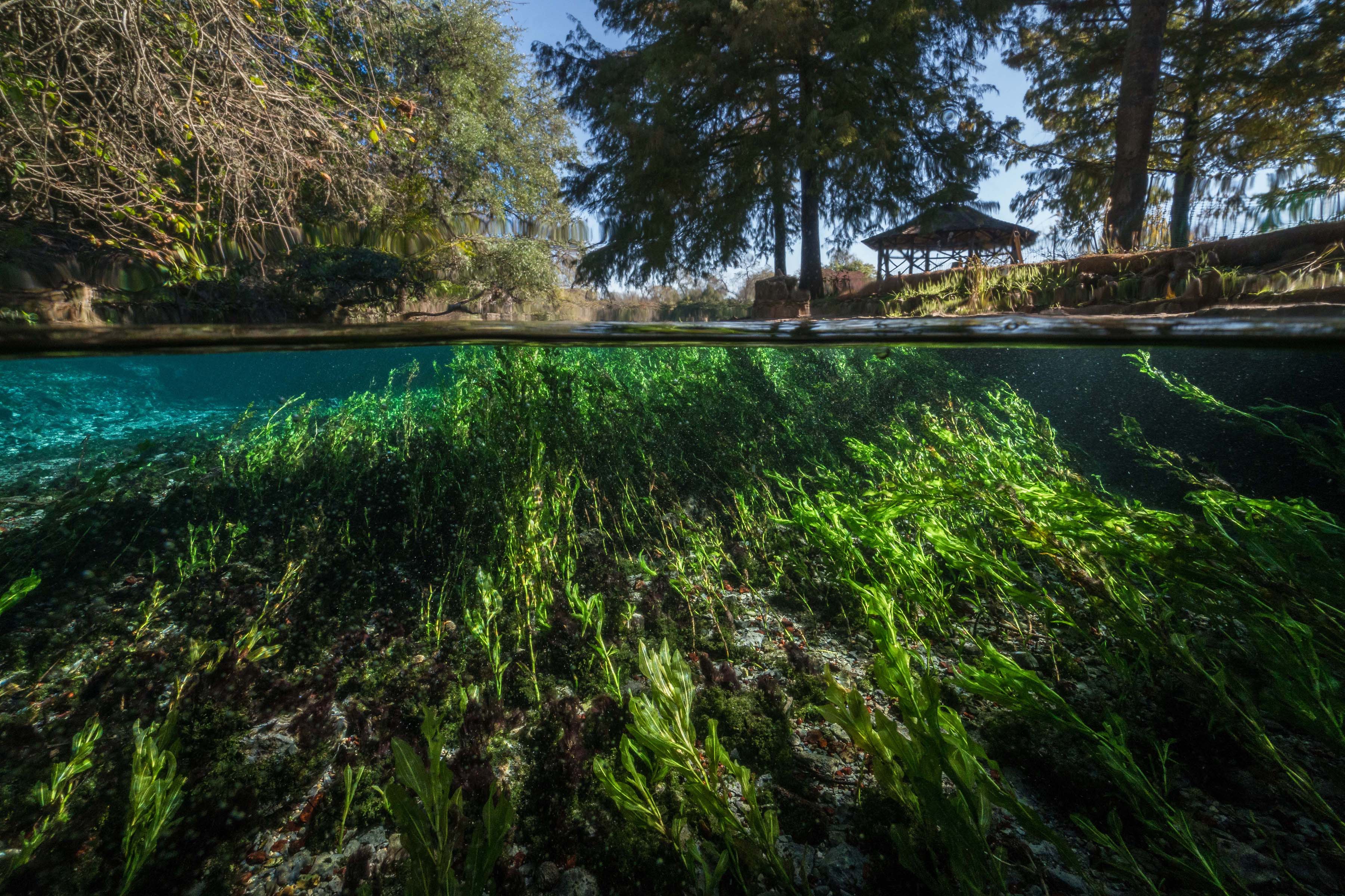Environmental Monitor | Managing and Studying Texas's Edwards Aquifer
