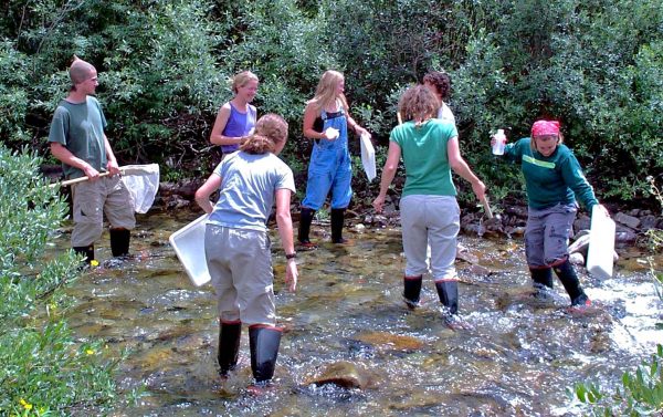 Rocky Mountain Biological Laboratory