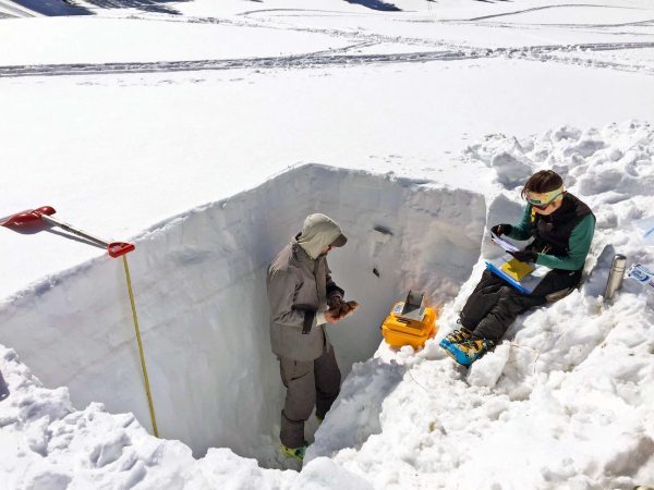 Rocky Mountain Biological Laboratory