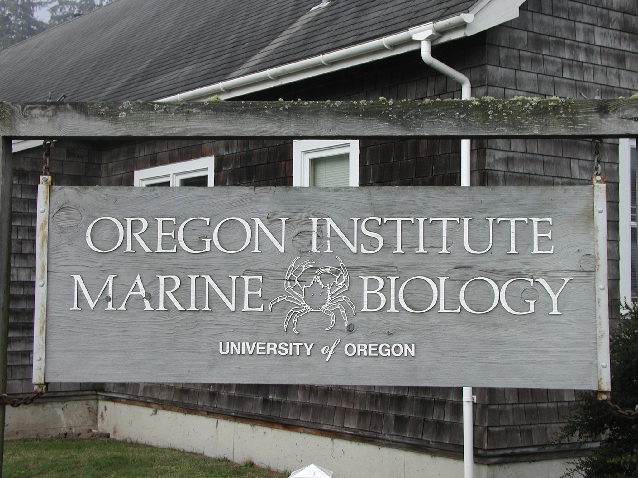 marine biology