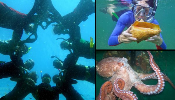 marine biology